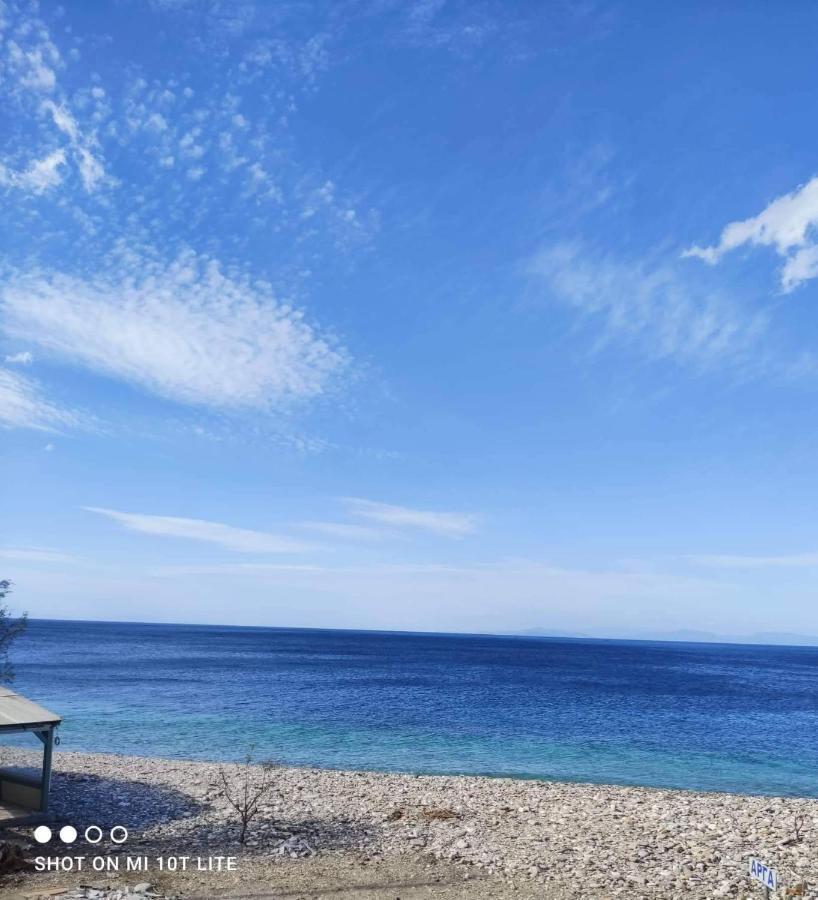 Despoina Seaside Apartment Ágios Konstantínos 외부 사진